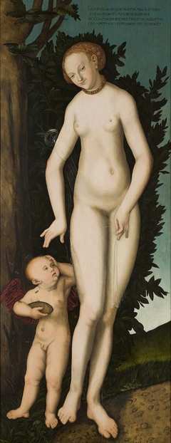 Venus and Cupid by Anonymous