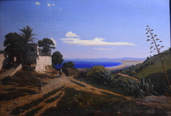 Vue d’Algérie, vue de la baie d’Alcen, depuis la Bouzeneah, prise de la mosquée Sidi Abd-er-Rhamane by Adrien Lainé