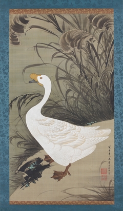 White goose and reeds by Itō Jakuchū