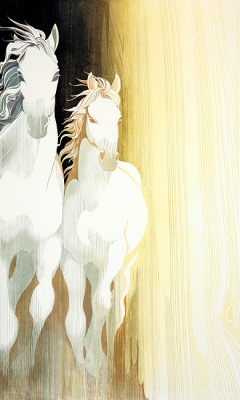 white horses by Marci McDonald