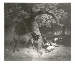 young shepherd frightened by a steer by Friedrich Voltz