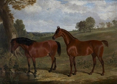 A Bay Horse and Pony in a Landscape by John Frederick Herring