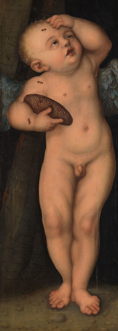 Amor als Honigdieb by Lucas Cranach the Elder