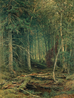 Backwoods by Ivan Shishkin