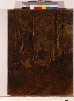 Chemin sous bois à Bannalec by Camille Bernier