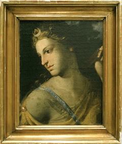 Diana by Anonymous