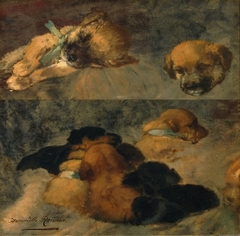 Dog Study by Henriëtte Ronner-Knip