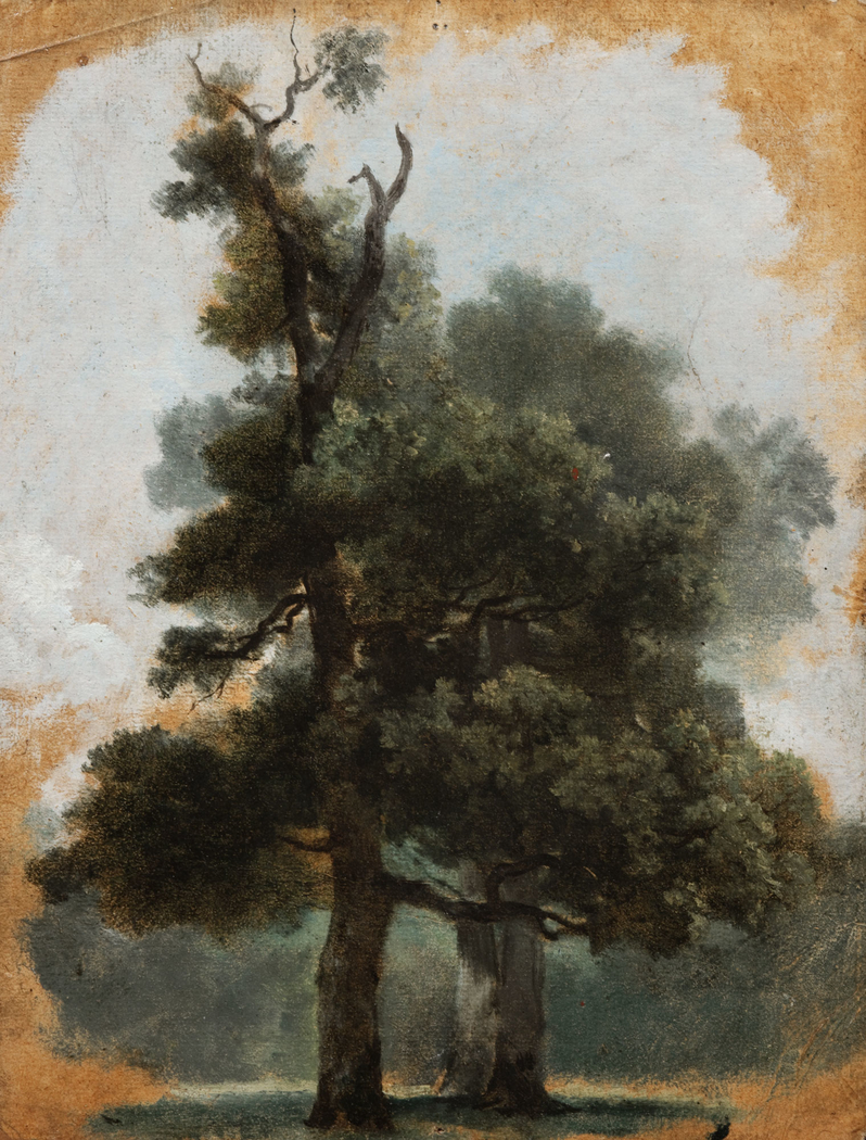 Exhibit image