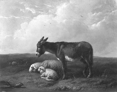 Ezel en schapen by Eugène Verboeckhoven