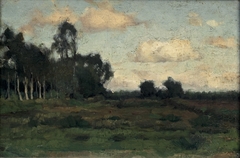 Gezicht op de heide bij Rolde by Anthon van Rappard