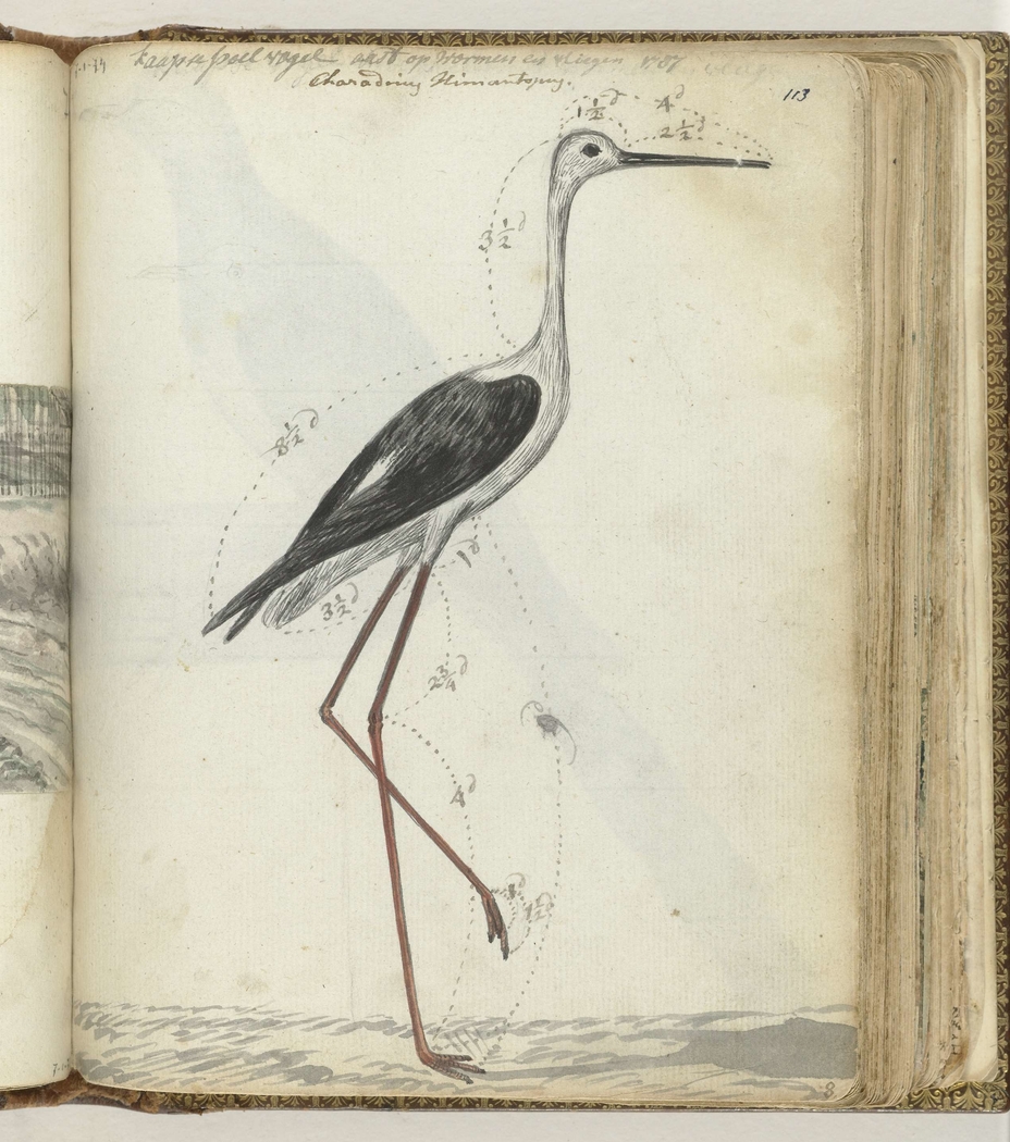 Exhibit image