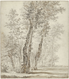 Landschap met bomen by Henricus Turken