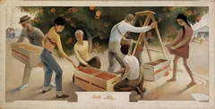 Orange Picking (mural study for Fullerton, California Post Office) by Paul Julian