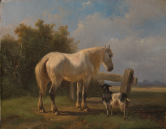 Paard in de weide by Wouterus Verschuur