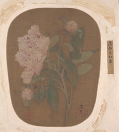 Peony Flower and Leaves by Anonymous