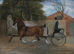 Portrait of a Gentleman in a Carriage by Anonymous