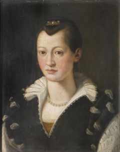 Portrait of a Lady in a Black Dress by Agnolo Bronzino