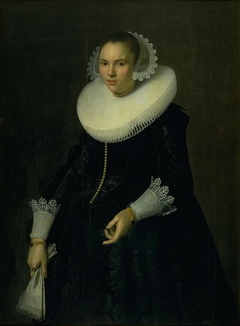 Portrait of a Lady by Nicolaes Eliaszoon Pickenoy