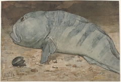 Side View of a Fish by Willem Witsen