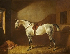 Sir Henry Ainslie Hoare's Favourite Hunter by John Alfred Wheeler