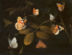 Six Butterflies and a Moth on a Rose Branch (Sept Papillions sur une Branche de Rosier) by William Gouw Ferguson