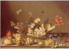 Still Life with Shells and Flowers by Balthasar van der Ast