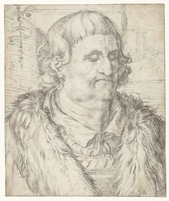 Studie van het hoofd van een man in de stijl van Dürer by Hendrick Goltzius