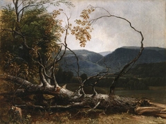 Study from Nature, Stratton Notch, Vermont by Asher Brown Durand