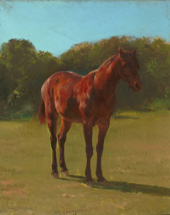 Study of a bay horse by Rosa Bonheur