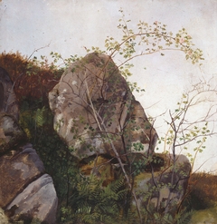 Study of Dog Roses and Ferns by Adolph Tidemand