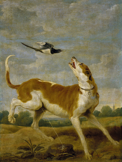 The dog and the magpie by Paul de Vos