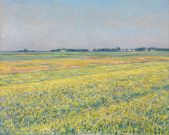 The plain of Gennevilliers, yellow fields by Gustave Caillebotte