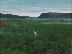 The twelve wild Ducks by Theodor Kittelsen