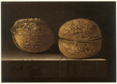 Two Walnuts by Adriaen Coorte