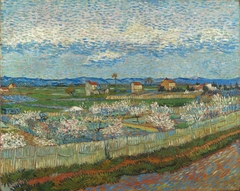 Peach Trees in Blossom by Vincent van Gogh