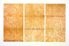 Usuyuki by Jasper Johns