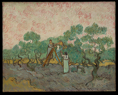 Women Picking Olives by Vincent van Gogh